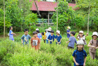 Ginger Farm K3/68