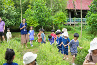 Ginger Farm K3/68