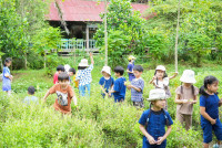 Ginger Farm K3/68