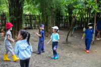 Ginger Farm K3/68