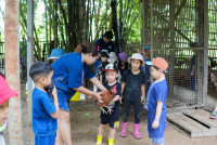 Ginger Farm K3/68