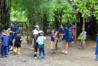 Ginger Farm K3/68