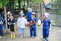 Ginger Farm K3/68