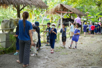 Ginger Farm K3/68