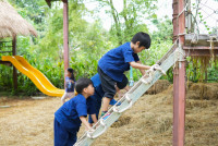 Ginger Farm K3/68