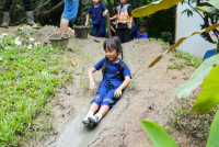 Ginger Farm K3/68
