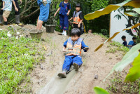 Ginger Farm K3/68