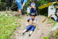 Ginger Farm K3/68