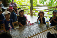 Ginger Farm K3/68