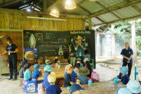 Ginger Farm K3/68