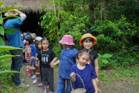 Ginger Farm K3/68