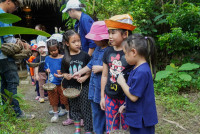 Ginger Farm K3/68