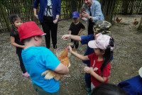 Ginger Farm K3/68