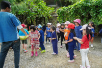 Ginger Farm K3/68