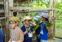 Ginger Farm K3/68