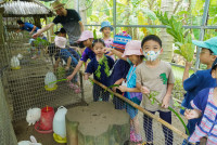 Ginger Farm K3/68