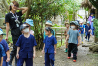 Ginger Farm K3/68