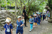 Ginger Farm K3/68