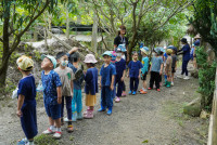 Ginger Farm K3/68