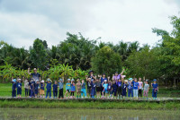 Ginger Farm K3/68