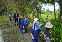 Ginger Farm K3/68