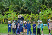 Ginger Farm K3/68