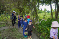 Ginger Farm K3/68