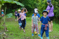 Ginger Farm K3/68