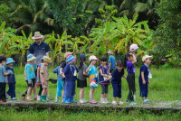 Ginger Farm K3/68