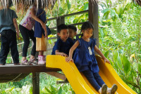 Ginger Farm K3/68
