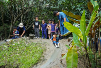 Ginger Farm K3/68