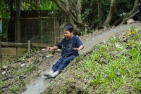 Ginger Farm K3/68