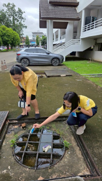 คณะศึกษาศาสตร์ มช. จัดพิธีถวายพระพรชัยมงคลเนื่องในวันเฉลิมพระชนมพรรษา พระบาทสมเด็จพระเจ้าอยู่หัวฯ 73 พรรษา และ พิธีถวายสัตย์ปฏิญาณเพื่อเป็นข้าราชการที่ดีและพลังของแผ่นดิน