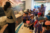 Herbal World K2-68