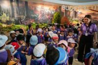 Herbal World K2-68