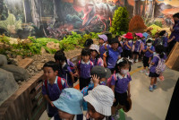 Herbal World K2-68