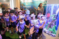 Herbal World K2-68