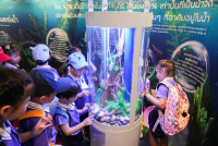 Herbal World K2-68