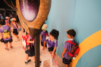 Herbal World K2-68