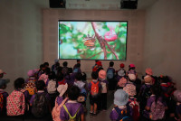 Herbal World K2-68
