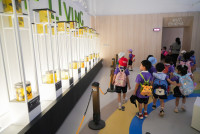 Herbal World K2-68