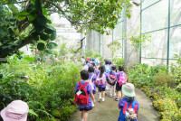 Herbal World K2-68