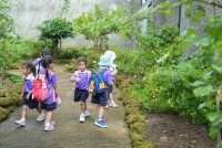 Herbal World K2-68