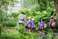 Herbal World K2-68