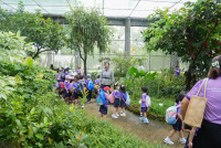 Herbal World K2-68