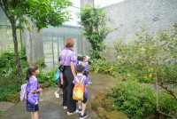 Herbal World K2-68