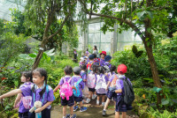 Herbal World K2-68