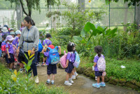 Herbal World K2-68