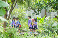 Herbal World K2-68