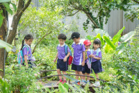 Herbal World K2-68